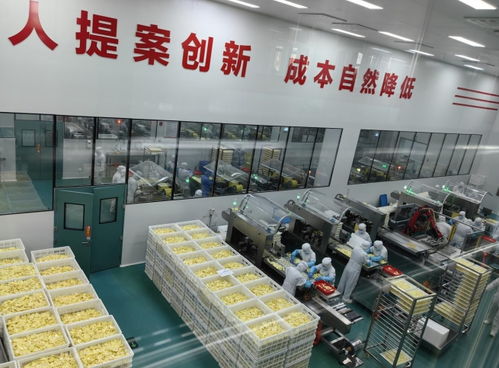 内蒙古草原红牛奶酪工厂建设加速，2026年投产将创造1.5亿元年产值