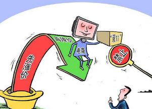 真诚致远 电商行业需以服务为本，回归销售与维护的本质