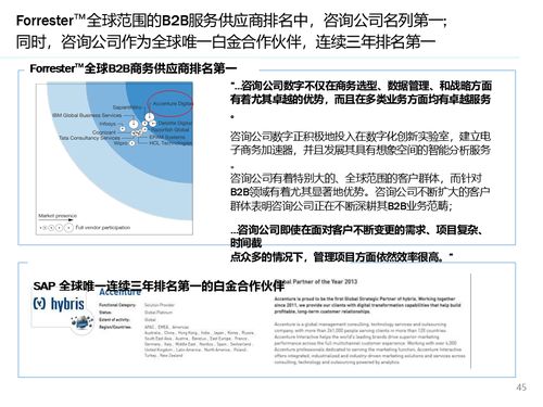 解读大型快消集团数字化营销系统解决方案 销售与维护的精髓